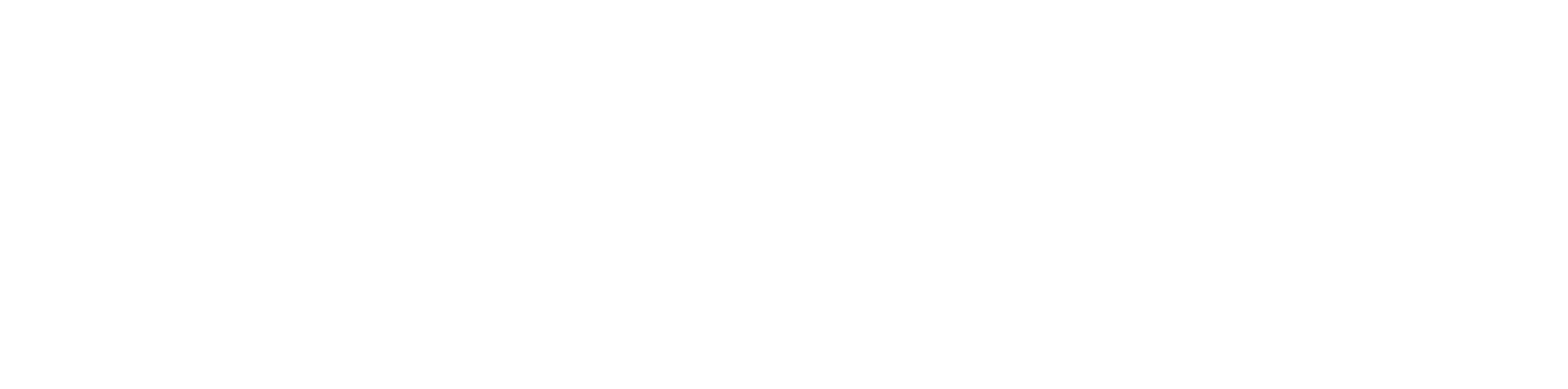SkyFiber Web